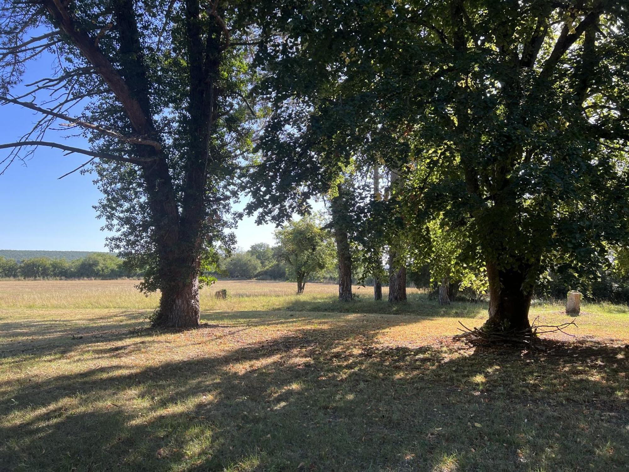 Villa La Petite Trolière à Orval  Extérieur photo